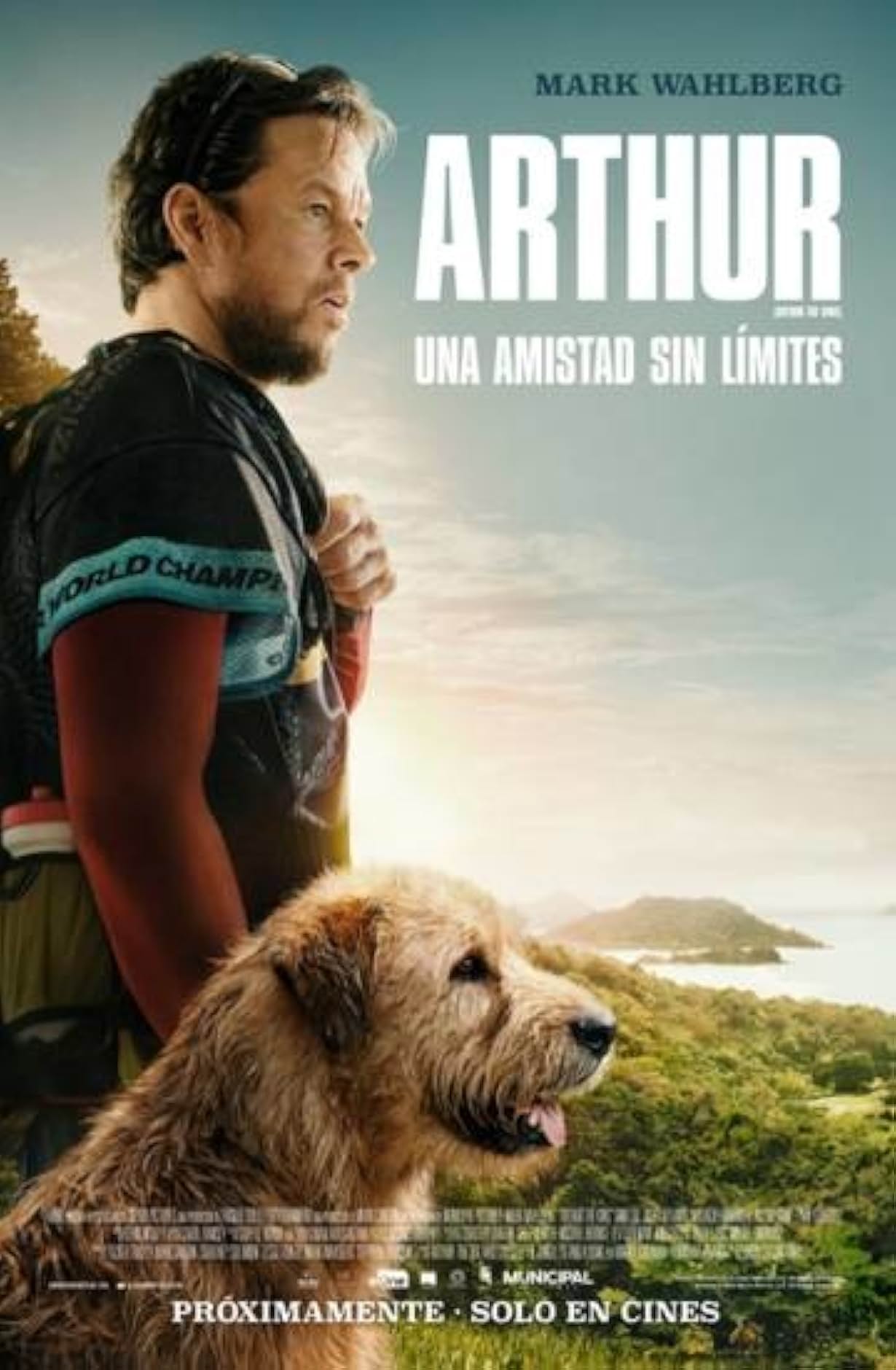 Cinco películas sobre perros basadas en hechos reales Mujer Informa