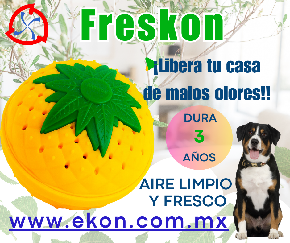 banner freskon