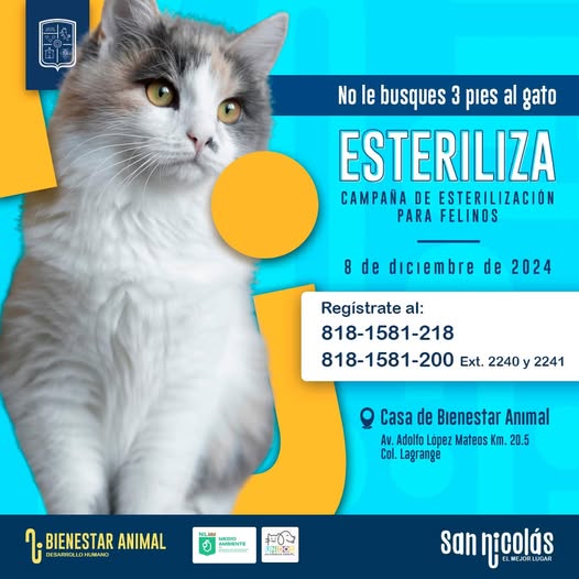 banner esterilización