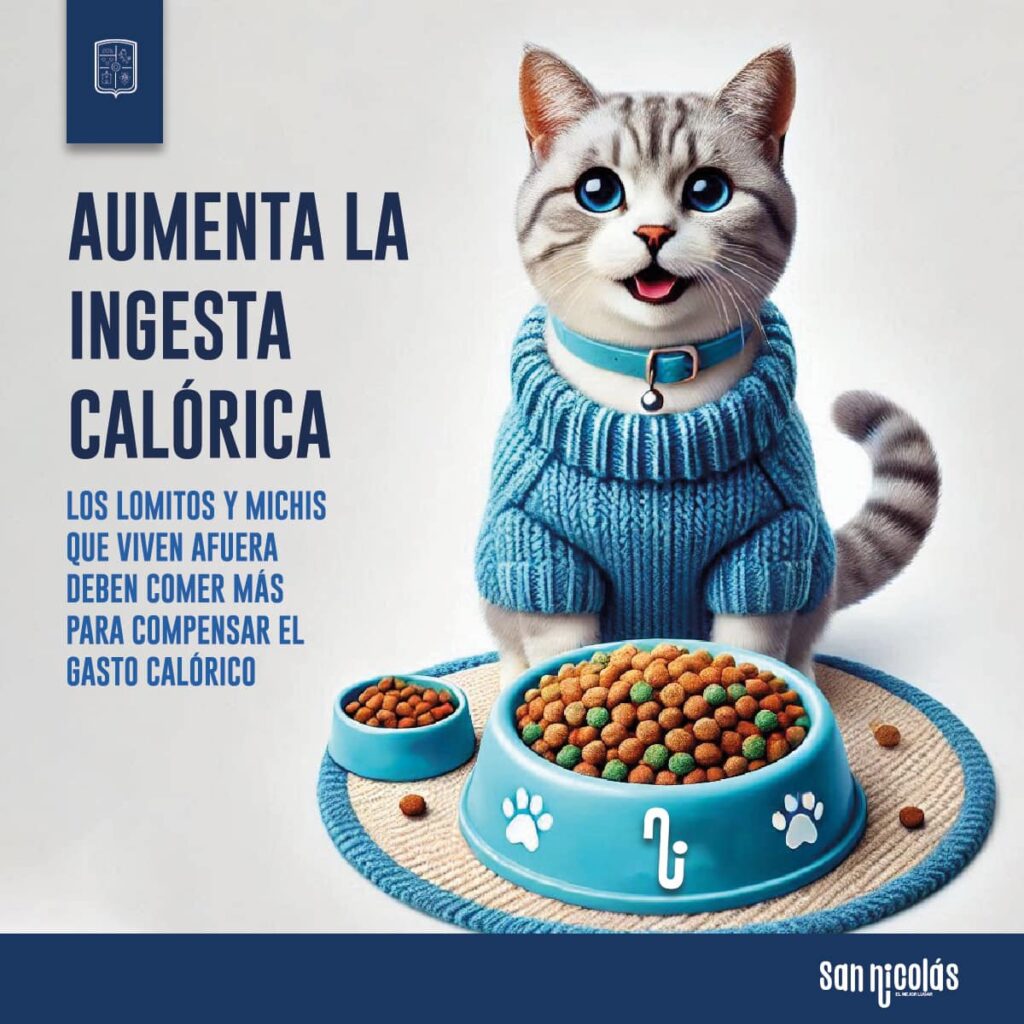 auemnta la ingesta calorica