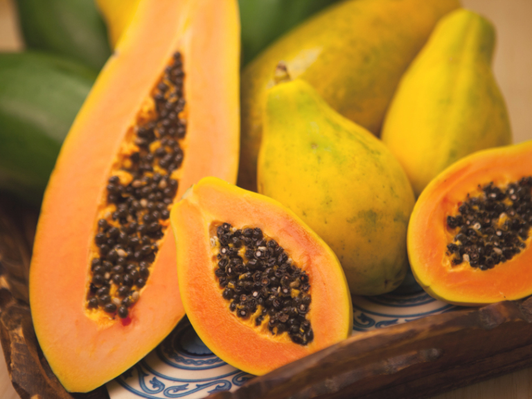 portada papaya