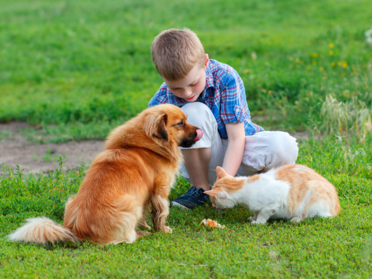 niño con perros