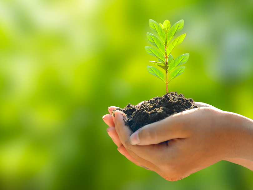 dia mundial de la educación ambiental