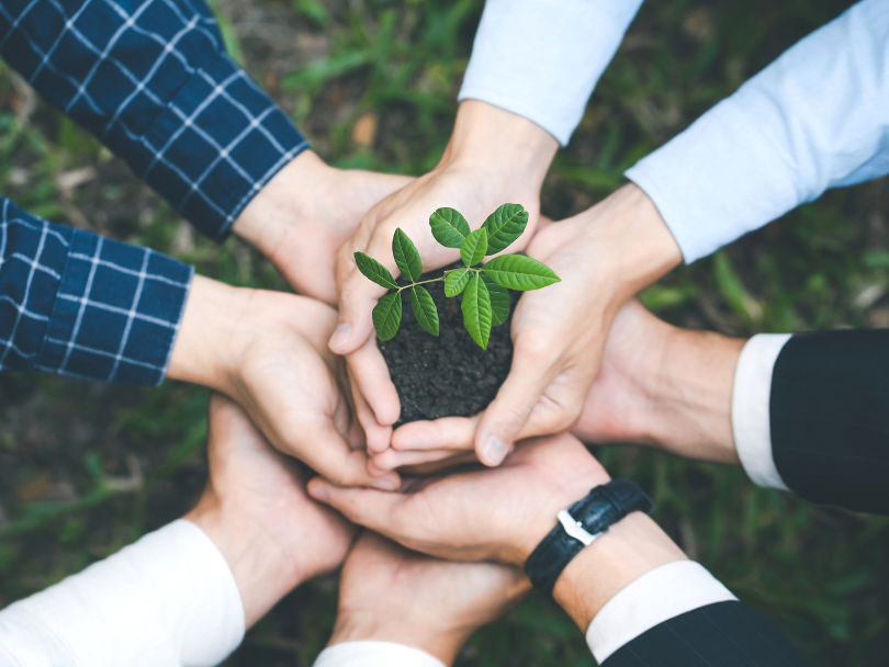 dia mundial de la educación ambiental