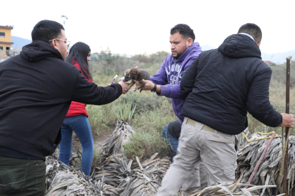 rescatando perritos en escobedo