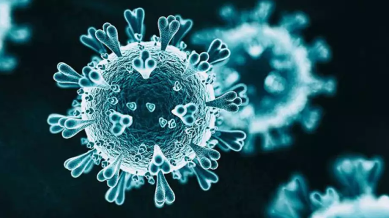 El metapneumovirus humano (HMPV)