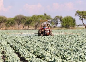 campo maquina