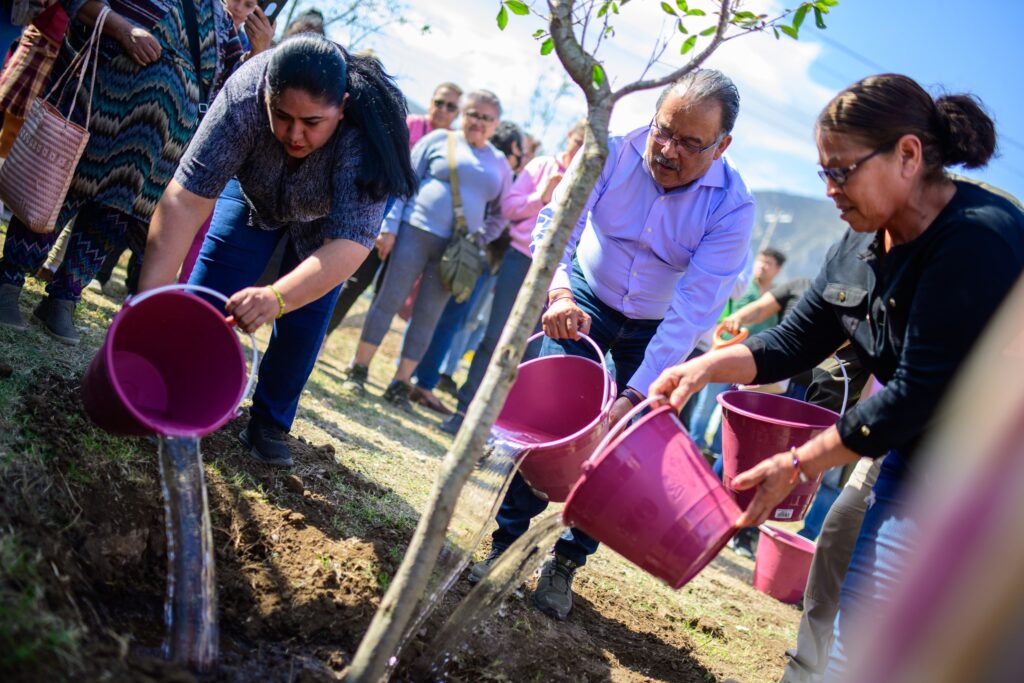 reforestación escobedo Nuevo león