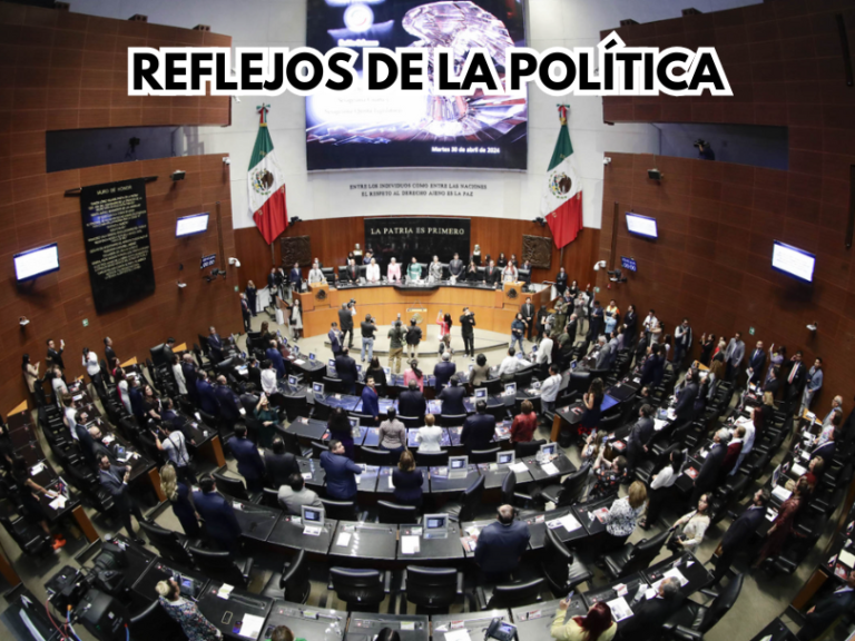 reflejos de la politica