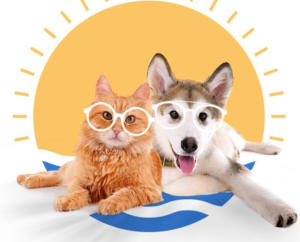 mascotas en tiempo de calor