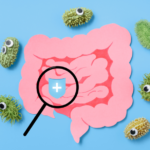 probioticos