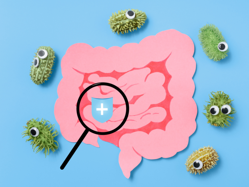 probioticos