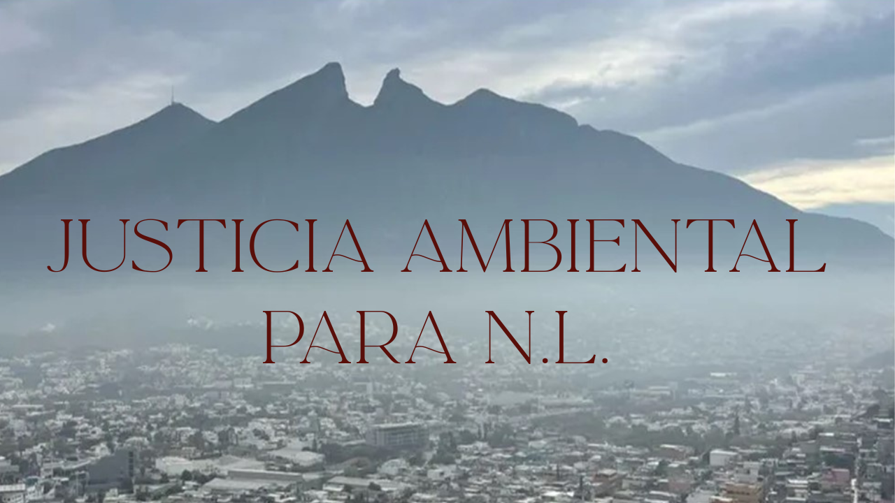 Nuevo León Contaminado